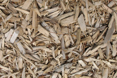 biomass boilers Bisterne
